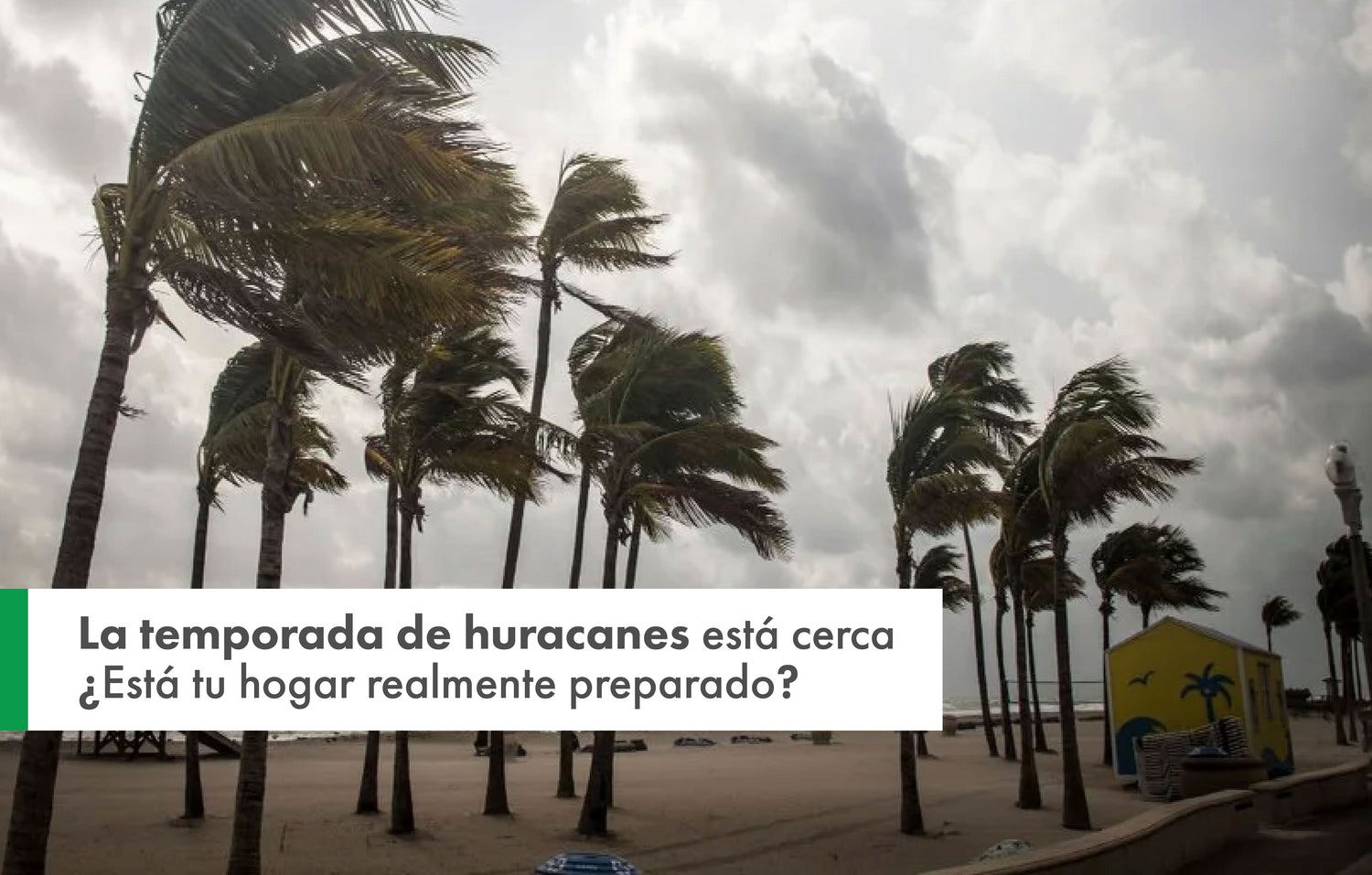 Preparing for Hurricane Season: What Every Homeowner Should Know