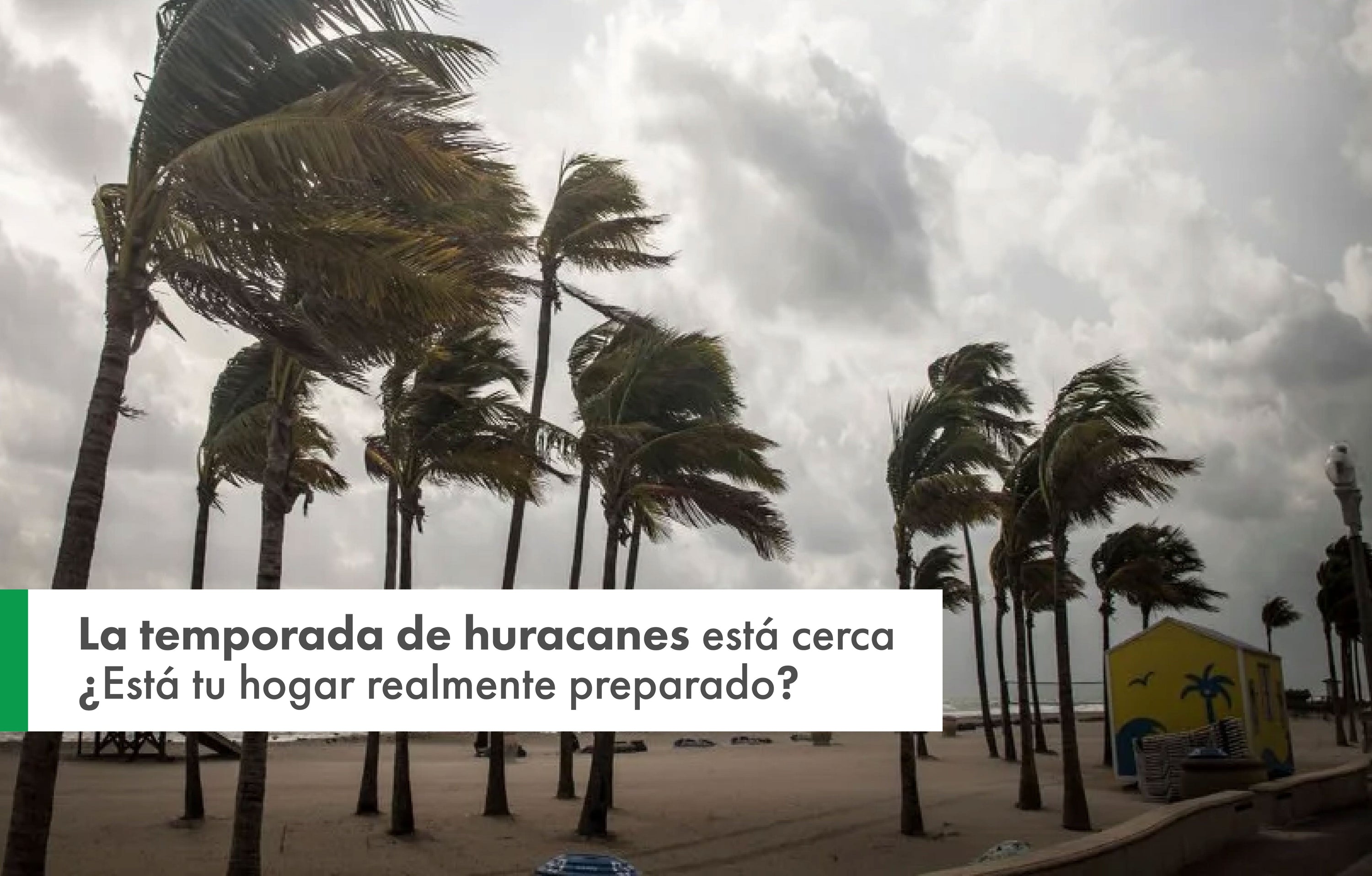 Preparing for Hurricane Season: What Every Homeowner Should Know