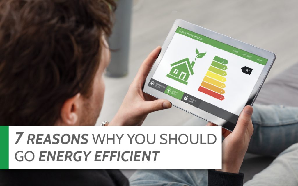 energy efficient homes, miami windows and doors